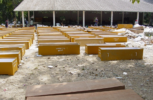 Materiały INTERPOL-u o protokołach identyfikacji ofiar katastrof i zachowaniu łańcucha dowodowego. Źródło: INTERPOL — Disaster Victim Identification.